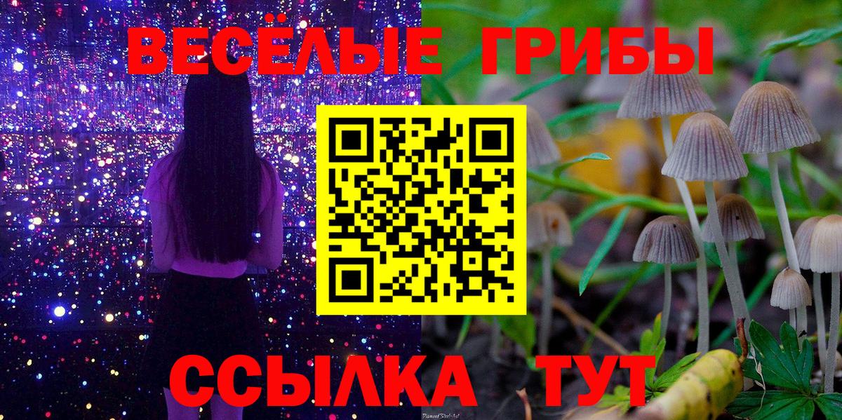 Псилоцибиновые грибы Psilocybe  Вход с VPN  Сургут 
